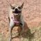 Khloe