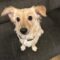 Rocko