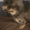Tilly