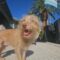 Thelma