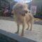 Thelma